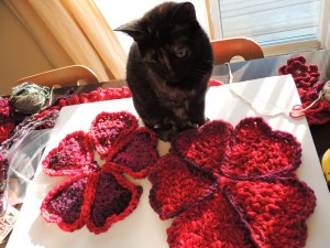 Tiia, the cat, helping?!