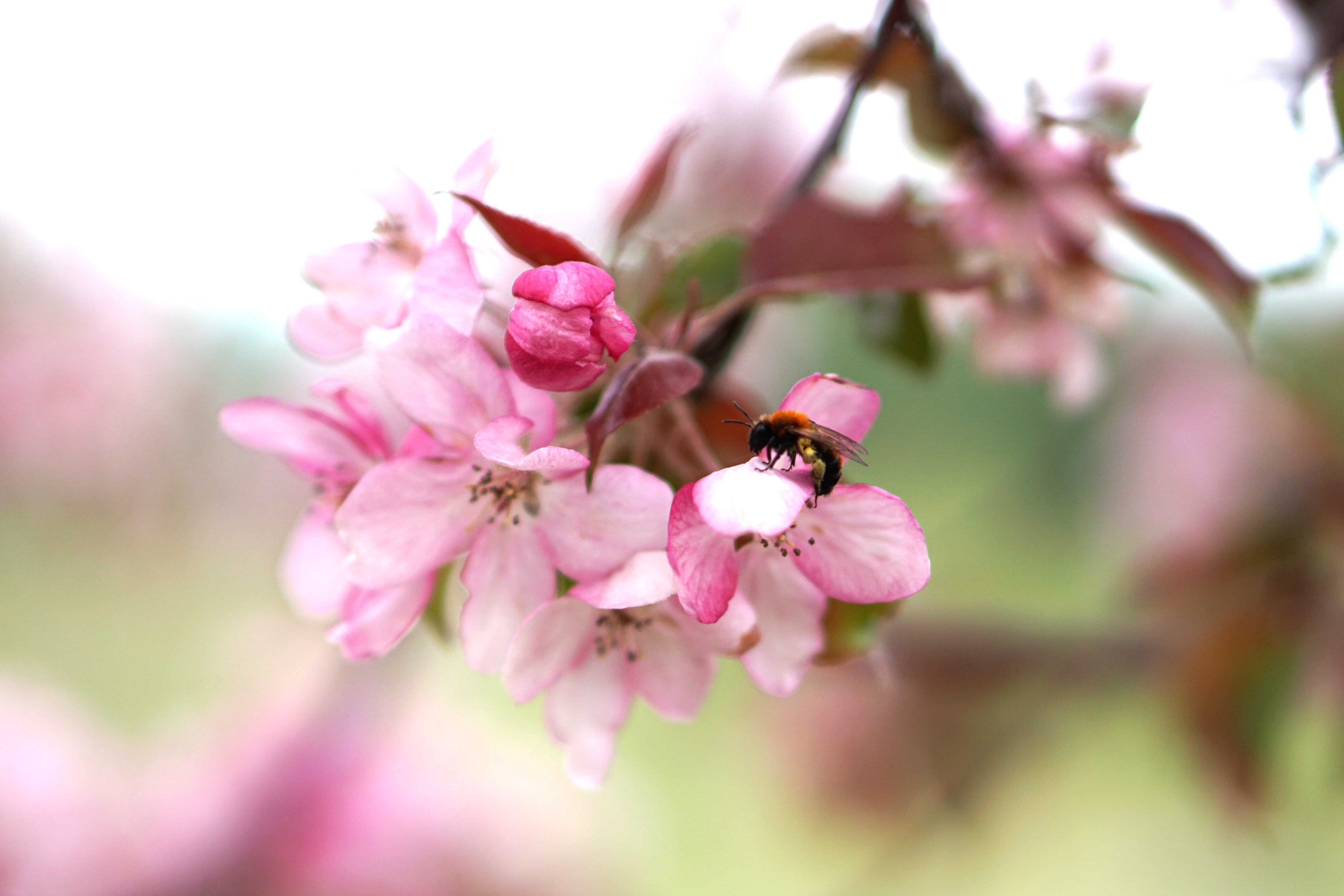 bee happy photo shoot6