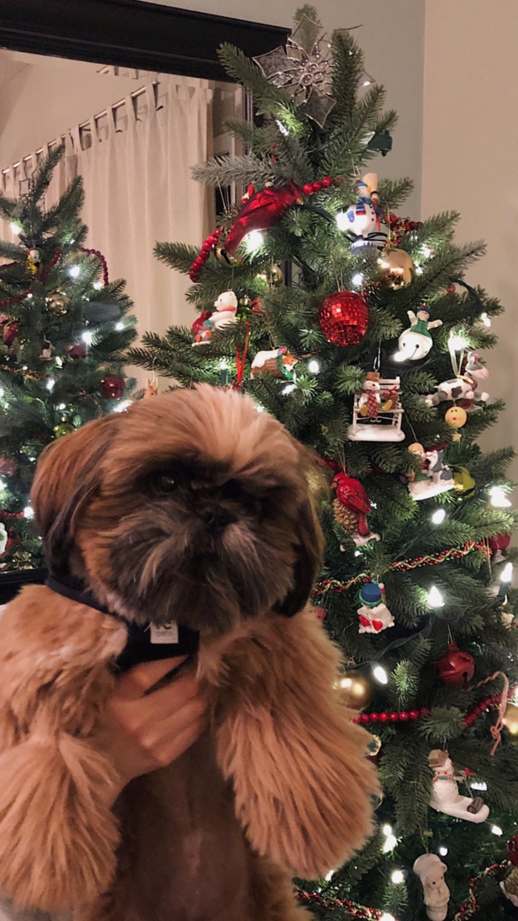 Merry Christmas and Happy New&nbsp;Years